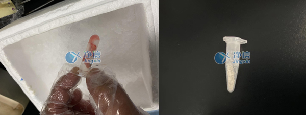 1636960549472747.jpg 70.jpg