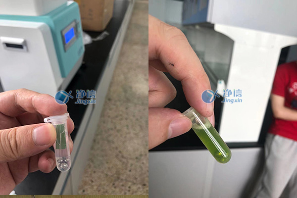 1654066339649646.jpg 2.jpg