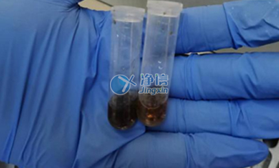 上海凈信高通量研磨儀能否助力蟲媒病毒研究實(shí)驗(yàn)？