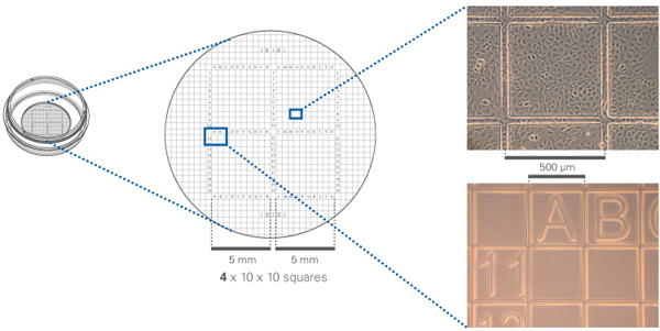 1683689655344736.jpg 21.jpg