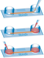 1684131200875012.jpg 14.jpg