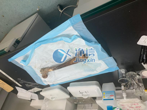 液氮冷凍研磨機(jī)破碎骨頭牙齒提取DNA實(shí)驗(yàn)全過程！