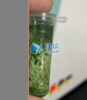 冷凍研磨儀在對(duì)甘蔗葉片提取DNA實(shí)驗(yàn)中研磨樣本效果如何？