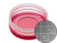 易必迪ibidi 細胞定位格子培養(yǎng)皿μ-Dish 35 mm high， glass bottom Grid-500